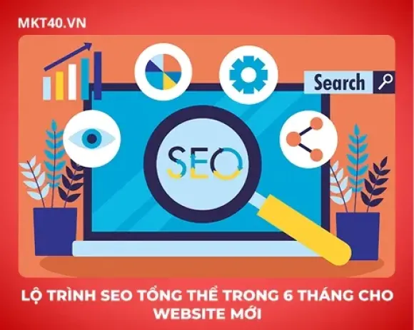 Lộ trình SEO tổng thể trong 6 tháng cho website mới