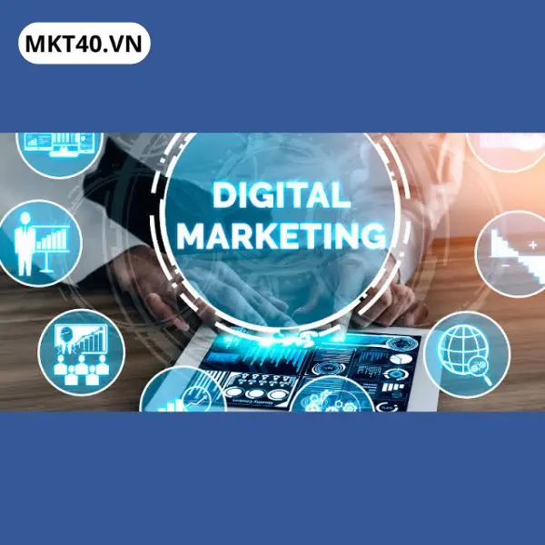 MKT40 cung cấp th&ocirc;ng tin chương tr&igrave;nh đ&agrave;o tạo Digital Marketing gi&uacute;p chủ doanh nghiệp định hướng chiến lược tiếp thị ph&ugrave; hợp