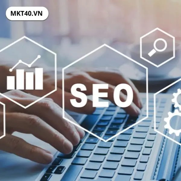 Lộ tr&igrave;nh SEO tổng thể cho Website 6 th&aacute;ng, x&acirc;y dựng Entity v&agrave; tối ưu kỹ thuật