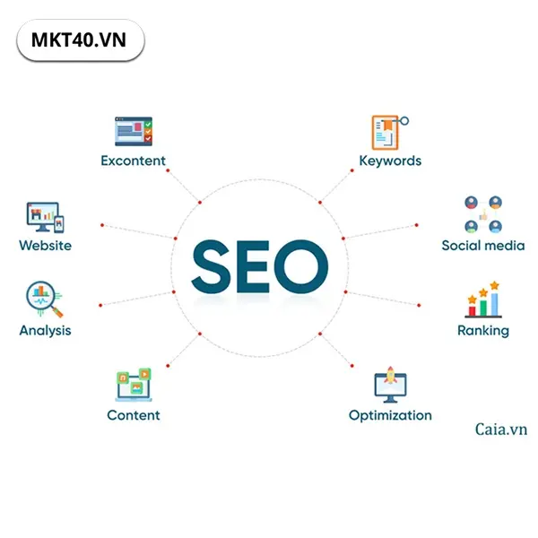 Quy tr&igrave;nh SEO tổng thể từng bước chi tiết gi&uacute;p phủ rộng Entity, tăng chuyển đổi