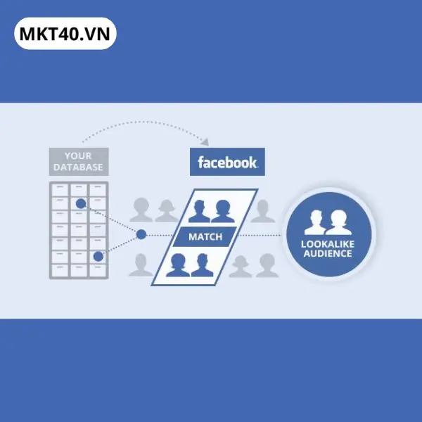 Tệp đối tượng tương tự tr&ecirc;n Facebook hỗ trợ mở rộng phạm vi tiếp cận những kh&aacute;ch h&agrave;ng c&oacute; đặc điểm tương đồng