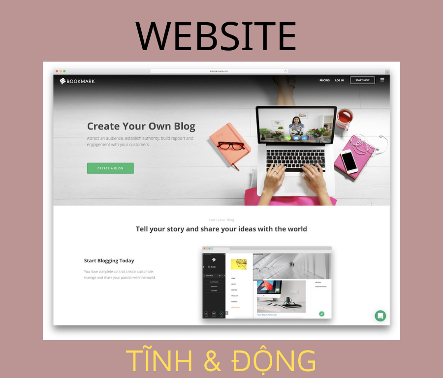 Website tĩnh là gì? Website động là gì? Sự khác nhau giữa web tĩnh và web động